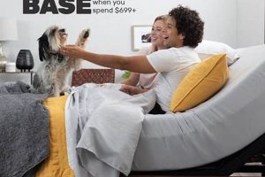 Mattress Firm Exton PA: Sleep Solutions Near You | Organic & Natural Mattress Buyer’s Guide: Non-Toxic Sleep Solutions