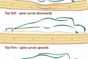 Best Mattress Firmness for Side Sleepers: A Guide | Organic & Natural Mattress Buyer’s Guide: Non-Toxic Sleep Solutions