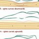 Best Mattress Firmness for Side Sleepers: A Guide | Organic & Natural Mattress Buyer’s Guide: Non-Toxic Sleep Solutions