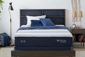 Best Firm or Medium Mattress? [Guide + Reviews] | Organic & Natural Mattress Buyer’s Guide: Non-Toxic Sleep Solutions