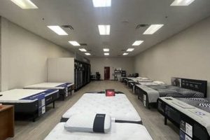 Shop Top Mattress Firm Clifton, NJ: Find Your Perfect Bed! | Organic & Natural Mattress Buyer’s Guide: Non-Toxic Sleep Solutions
