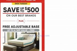 Mattress Firm & Basketball: 2024 Commercial Dreams | Organic & Natural Mattress Buyer’s Guide: Non-Toxic Sleep Solutions