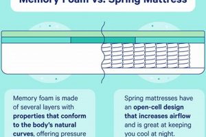 Spring vs Memory Foam Mattress: Which is Best [Guide] | Organic & Natural Mattress Buyer’s Guide: Non-Toxic Sleep Solutions