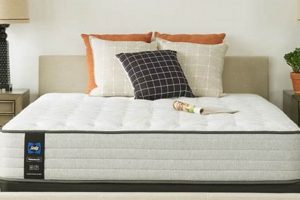 Buy the Best: Sealy Posturepedic Firm Mattress - Sleep Well! | Organic & Natural Mattress Buyer’s Guide: Non-Toxic Sleep Solutions