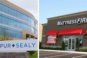 Find Your Firm: Tempur Sealy Mattress Firm - Sleep Better Now! | Organic & Natural Mattress Buyer’s Guide: Non-Toxic Sleep Solutions