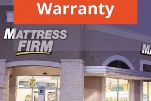 Understanding Your Mattress Firm Warranty: What's Covered? Organic & Natural Mattress Buyer’s Guide: Non-Toxic Sleep Solutions Understanding Your Mattress Firm Warranty: What's Covered? | Organic & Natural Mattress Buyer’s Guide: Non-Toxic Sleep Solutions