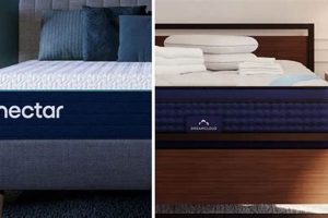 Nectar vs DreamCloud: Which Mattress Wins? (2024) Organic & Natural Mattress Buyer’s Guide: Non-Toxic Sleep Solutions Nectar vs DreamCloud: Which Mattress Wins? (2024) | Organic & Natural Mattress Buyer’s Guide: Non-Toxic Sleep Solutions