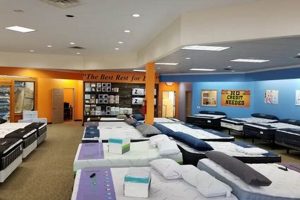 Best Mattresses: Mattress Firm Lake Charles, LA Deals Organic & Natural Mattress Buyer’s Guide: Non-Toxic Sleep Solutions Best Mattresses: Mattress Firm Lake Charles, LA Deals | Organic & Natural Mattress Buyer’s Guide: Non-Toxic Sleep Solutions