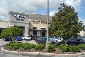 Shop Mattresses: Mattress Firm Shoppes at Millenia Deals Organic & Natural Mattress Buyer’s Guide: Non-Toxic Sleep Solutions Shop Mattresses: Mattress Firm Shoppes at Millenia Deals | Organic & Natural Mattress Buyer’s Guide: Non-Toxic Sleep Solutions