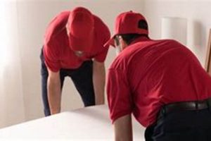 Top Tips: Mattress Firm Customer Care Guide + More! Organic & Natural Mattress Buyer’s Guide: Non-Toxic Sleep Solutions Top Tips: Mattress Firm Customer Care Guide + More! | Organic & Natural Mattress Buyer’s Guide: Non-Toxic Sleep Solutions