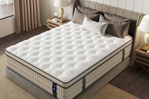 Best Medium Firm Hybrid Mattress: Comfort & Support | Organic & Natural Mattress Buyer’s Guide: Non-Toxic Sleep Solutions