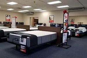 Shop Honolulu Mattress Firm: [Your Best Sleep!] | Organic & Natural Mattress Buyer’s Guide: Non-Toxic Sleep Solutions