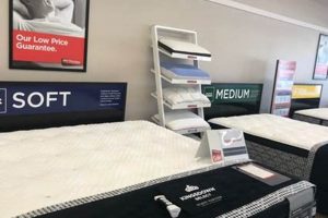 Find Mattress Firm Sarasota, FL: Best Sleep Solutions Near You | Organic & Natural Mattress Buyer’s Guide: Non-Toxic Sleep Solutions