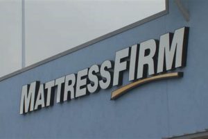 Find Your Firm Comfort: Mattress Firm Quincy Deals | Organic & Natural Mattress Buyer’s Guide: Non-Toxic Sleep Solutions