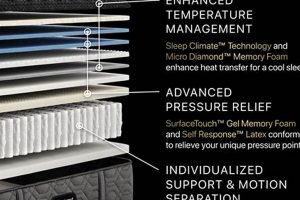 Beautyrest Black Three 15 Firm Mattress: Sleep Better, Feel Refreshed! | Organic & Natural Mattress Buyer’s Guide: Non-Toxic Sleep Solutions