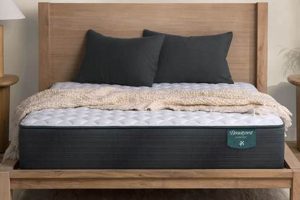 Beautyrest Harmony Sterling Sunrise Firm: A Supportive Choice | Organic & Natural Mattress Buyer’s Guide: Non-Toxic Sleep Solutions