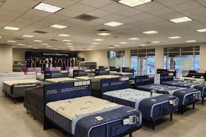 Best Mattress Firm Rancho Cucamonga: Sleep Solutions | Organic & Natural Mattress Buyer’s Guide: Non-Toxic Sleep Solutions