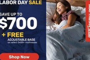 Best Mattress Firm Gulfport MS: Sleep Soundly Here! | Organic & Natural Mattress Buyer’s Guide: Non-Toxic Sleep Solutions
