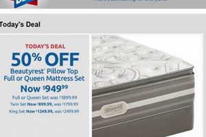 Your Local Mattress Firm Edgewater: Sleep Solutions Organic & Natural Mattress Buyer’s Guide: Non-Toxic Sleep Solutions Your Local Mattress Firm Edgewater: Sleep Solutions | Organic & Natural Mattress Buyer’s Guide: Non-Toxic Sleep Solutions