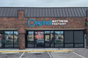 Your Local Mattress Firm Carrollwood Store: Sleep Solutions! | Organic & Natural Mattress Buyer’s Guide: Non-Toxic Sleep Solutions