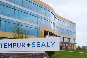 Mattress Firm Tempur-Sealy: Sleep Solutions & Deals Organic & Natural Mattress Buyer’s Guide: Non-Toxic Sleep Solutions Mattress Firm Tempur-Sealy: Sleep Solutions & Deals | Organic & Natural Mattress Buyer’s Guide: Non-Toxic Sleep Solutions