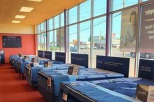 Your Mattress Firm Quakertown Dreams Await! Organic & Natural Mattress Buyer’s Guide: Non-Toxic Sleep Solutions Your Mattress Firm Quakertown Dreams Await! | Organic & Natural Mattress Buyer’s Guide: Non-Toxic Sleep Solutions