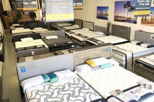 Best Mattress Firm Chula Vista CA: Your Sleep Experts! Organic & Natural Mattress Buyer’s Guide: Non-Toxic Sleep Solutions Best Mattress Firm Chula Vista CA: Your Sleep Experts! | Organic & Natural Mattress Buyer’s Guide: Non-Toxic Sleep Solutions