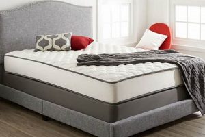 Find Mattress Firm Greenwood: [Deals + Location] | Organic & Natural Mattress Buyer’s Guide: Non-Toxic Sleep Solutions