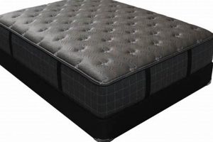 Best Mattress Firm Verona Deals: Sleep Soundly Here | Organic & Natural Mattress Buyer’s Guide: Non-Toxic Sleep Solutions