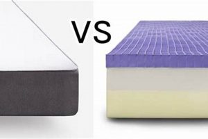 Casper vs. Purple: Which Mattress Wins? Organic & Natural Mattress Buyer’s Guide: Non-Toxic Sleep Solutions Casper vs. Purple: Which Mattress Wins? | Organic & Natural Mattress Buyer’s Guide: Non-Toxic Sleep Solutions