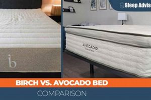 Birch vs. Avocado Mattress: Which Bed Wins? Organic & Natural Mattress Buyer’s Guide: Non-Toxic Sleep Solutions Birch vs. Avocado Mattress: Which Bed Wins? | Organic & Natural Mattress Buyer’s Guide: Non-Toxic Sleep Solutions