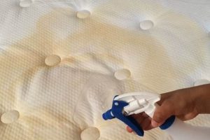 How to Clean Mattress Urine: Easy Stain & Odor Removal Organic & Natural Mattress Buyer’s Guide: Non-Toxic Sleep Solutions How to Clean Mattress Urine: Easy Stain & Odor Removal | Organic & Natural Mattress Buyer’s Guide: Non-Toxic Sleep Solutions